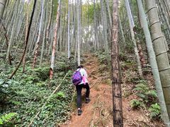 -鸡枕山