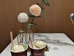 -哈根达斯(国瑞店)