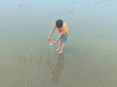 -南汇嘴观海公园