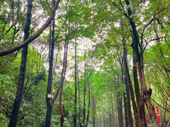 -广州市白云山风景名胜区