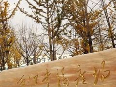 -百林公园-两江幸福广场