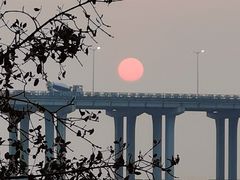 -宝安西湾红树林湿地公园