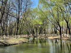 -长白岛森林公园