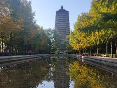 -玲珑塔公园