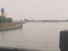 -溱湖国家湿地公园