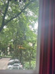 -南京医科大学友谊整形外科医院