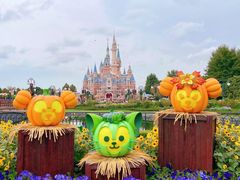 -上海迪士尼度假区