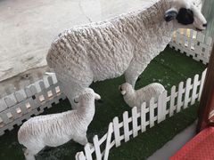 -阳坊胜利涮羊肉(阳坊老店)