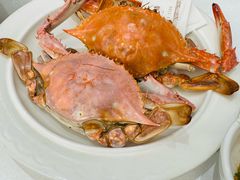 -品海楼·大连海胆锅贴馆(东港店)