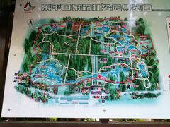 -崇明东平国家森林公园烧烤房车露营地