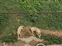 -泉州海丝野生动物世界