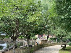 -北京市海淀外国语实验学校