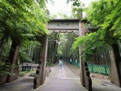 -西湖风景区十里琅珰-五云山