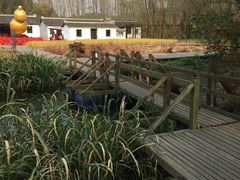 -溱湖国家湿地公园