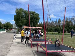 -前小桔亲子创意农场·草莓采摘·露营烧烤