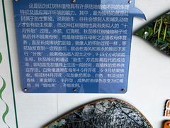 -北海金海湾红树林生态旅游区