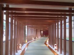-重庆南山海昌汤都