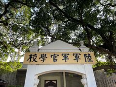 -长洲岛