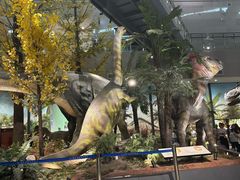 -湖南省地质博物馆