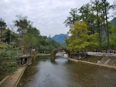 -四川省成都市彭州市白鹿镇