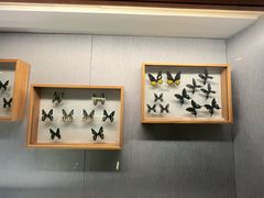 -青藏高原自然博物馆