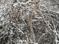 -终南山国家森林公园