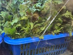 -老味道1992(武当山店)