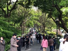 -苏堤停车场