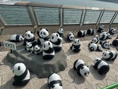 -星光大道