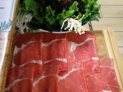 -青瓷火锅料理(西单大悦城店)