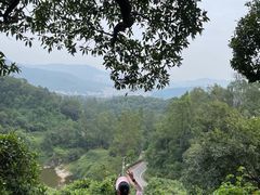 -火炉山森林公园