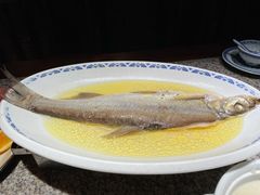 鸡汁白鱼-南京大牌档(青岛万象城店)