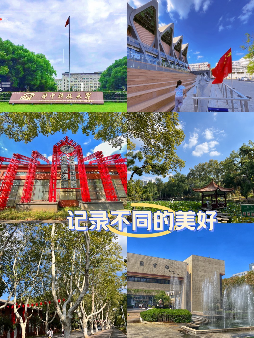 绿林学院图片