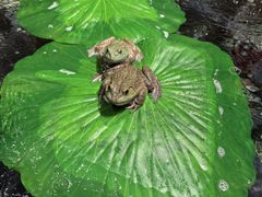 -传统菜农庄(皇姑路店)