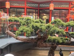 -老山东·山东菜(鲁菜名店)