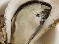 桑拿蠔-天宝食坊·啫啫煲大排档(西华路店)