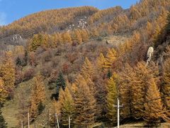 -芦芽山旅游度假区