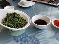 养生枸杞苗-老毛手抓·盐池滩羊手抓(宁夏总店)