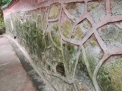 -都江堰普照寺