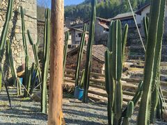 -MOJ coffee(瓯海泽雅水碓坑店)