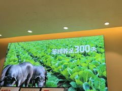 -快乐老家三鲜饺子东北菜(南六中路店)