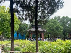-洛阳白马寺