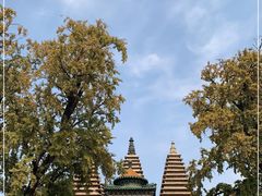 -北京石刻艺术博物馆(五塔寺)