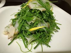 -浦华大酒店-台南担仔面海鲜楼