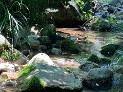 -抱龙峪