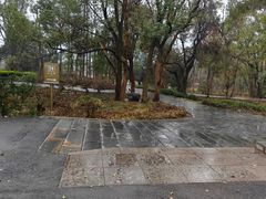 -东湖落雁景区