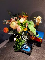 -奈瑞儿美颜美养SPA