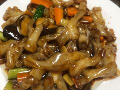 红烧蹄筋-林之六八·6886大连老菜馆