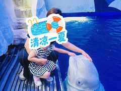 -秦皇岛乐岛海洋王国