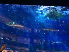 -成都浩海立方海洋公园